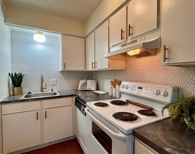 4209 Avenue B - Photo Thumbnail 6