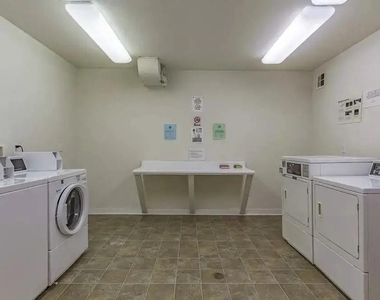 312 Court St - Photo Thumbnail 6