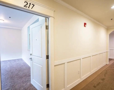 312 Court St - Photo Thumbnail 16