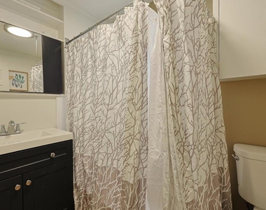 207 C Avenue - Photo Thumbnail 5