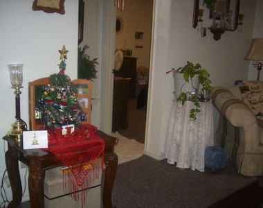 101 Seniors Avenue - Photo Thumbnail 15