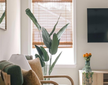 107 Robinson Street - Photo Thumbnail 30