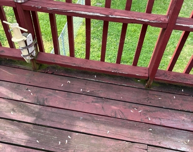 1314 Dorchester Avenue - Photo Thumbnail 12