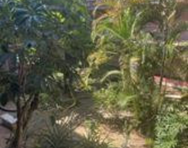 2821 Somerset Drive - Photo Thumbnail 12