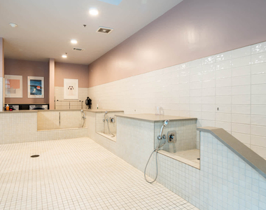 411 W Commerce St - Photo Thumbnail 33