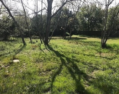 902 Quartz Ct - Photo Thumbnail 11