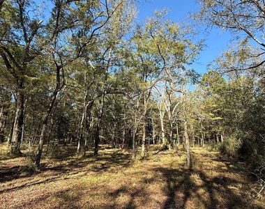 9367 Fm 149 Road - Photo Thumbnail 2