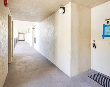 2615 Cove Cay Drive - Photo Thumbnail 17