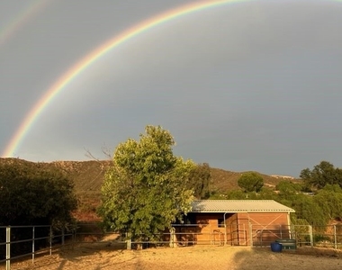 37420 Leta - Photo Thumbnail 21