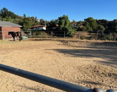 37420 Leta - Photo Thumbnail 22