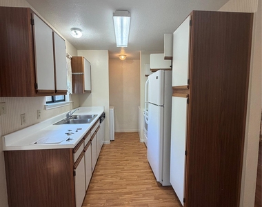 728 W San Antonio St - Photo Thumbnail 3