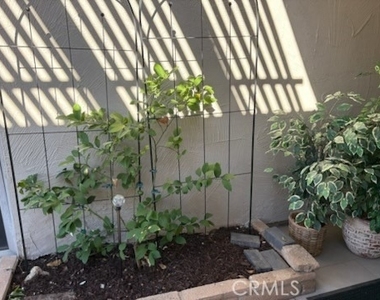 28375 Paseo Grande - Photo Thumbnail 25