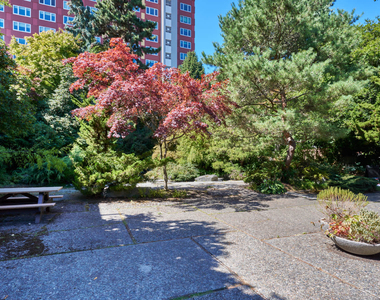 520 Terry Avenue - Photo Thumbnail 49