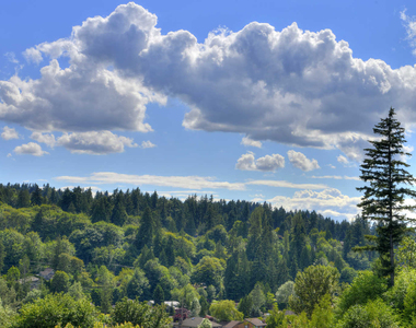 8700 Northeast Bothell Way - Photo Thumbnail 23