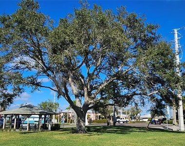 10355 Paradise Boulevard - Photo Thumbnail 30