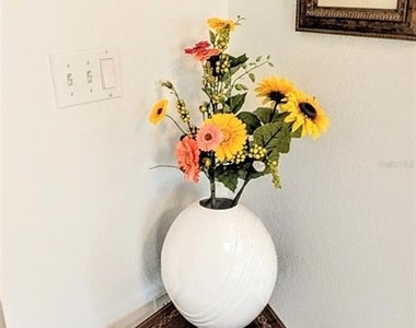 1064 N Tamiami Trail - Photo Thumbnail 6