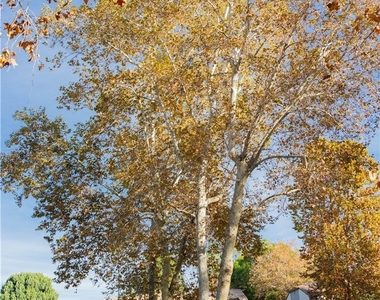 1219 N Edwards Street - Photo Thumbnail 44