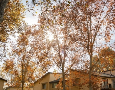 1219 N Edwards Street - Photo Thumbnail 52
