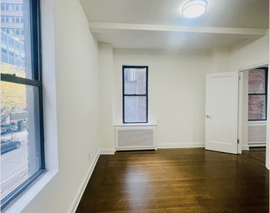 East 46th Street - Photo Thumbnail 2