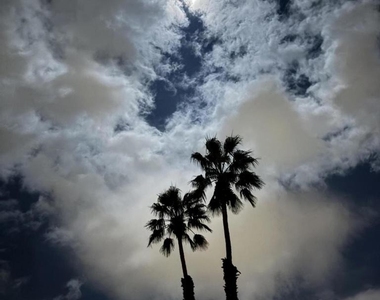35082 Mission Hills Drive - Photo Thumbnail 25