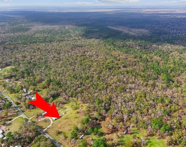 342 County Road 414 - Photo Thumbnail 8
