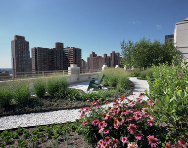 1510 Lexington Avenue - Photo Thumbnail 7