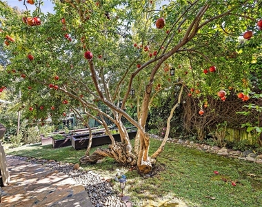 773 Saint Ann's - Photo Thumbnail 24