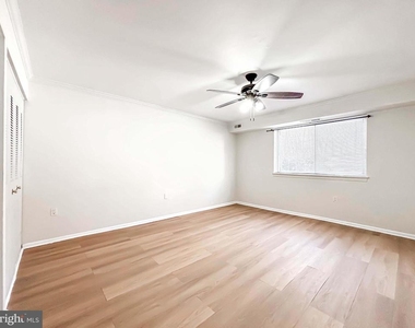 11402 Cherry Hill Road - Photo Thumbnail 12