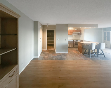801 S Plymouth Court - Photo Thumbnail 2