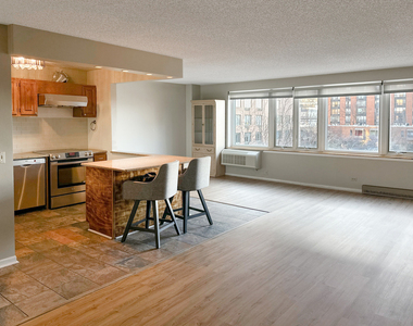 801 S Plymouth Court - Photo Thumbnail 1