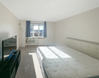 801 S Plymouth Court - Photo Thumbnail 13