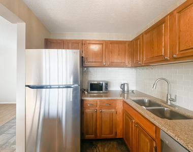 801 S Plymouth Court - Photo Thumbnail 4