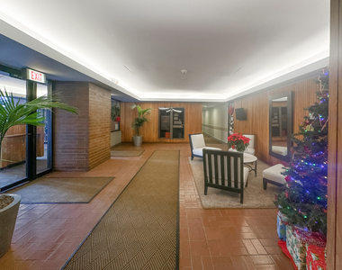 801 S Plymouth Court - Photo Thumbnail 16