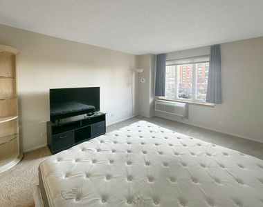 801 S Plymouth Court - Photo Thumbnail 12