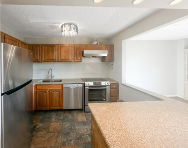 801 S Plymouth Court - Photo Thumbnail 3