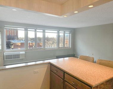801 S Plymouth Court - Photo Thumbnail 8