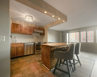 801 S Plymouth Court - Photo Thumbnail 5