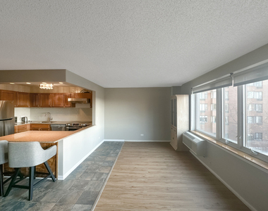 801 S Plymouth Court - Photo Thumbnail 6