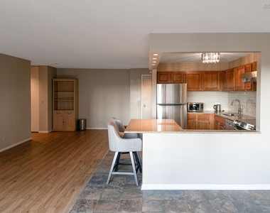 801 S Plymouth Court - Photo Thumbnail 7