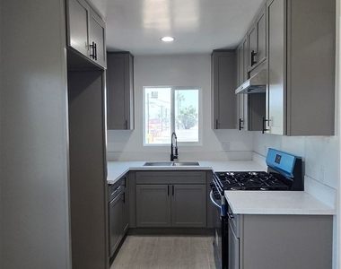 833 E 92nd - Photo Thumbnail 4