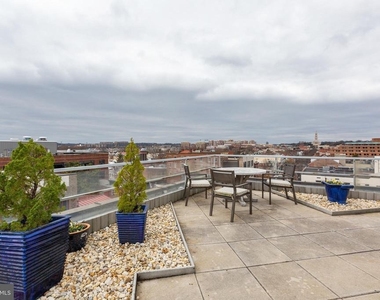 815 King Street - Photo Thumbnail 18