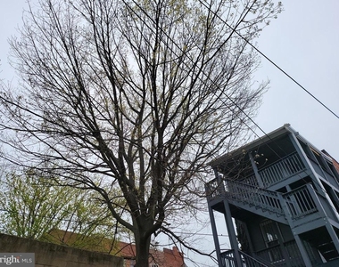 2012 Mount Royal - Photo Thumbnail 38