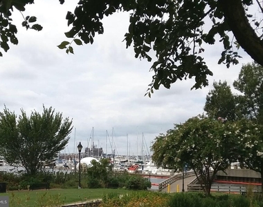 2012 Mount Royal - Photo Thumbnail 40