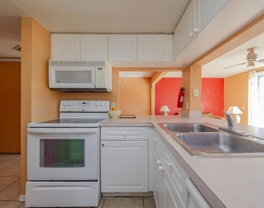 203 Coco Plum Drive - Photo Thumbnail 3