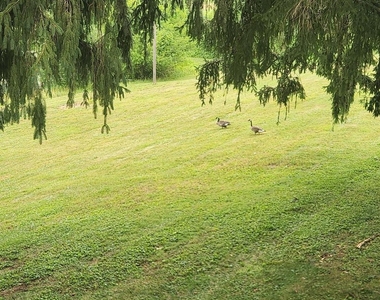 3754 Shiloh Road - Photo Thumbnail 16