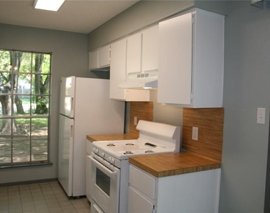 103 Cloudview Dr - Photo Thumbnail 14