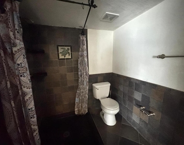 224 10th Avenue - Photo Thumbnail 11