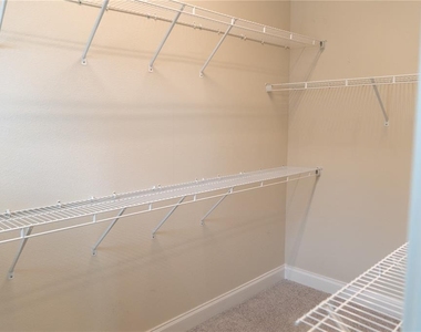 1011 Lychee Court - Photo Thumbnail 21