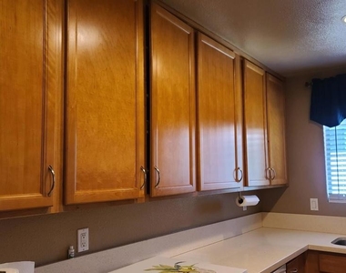 7831 Camino Noguera - Photo Thumbnail 3