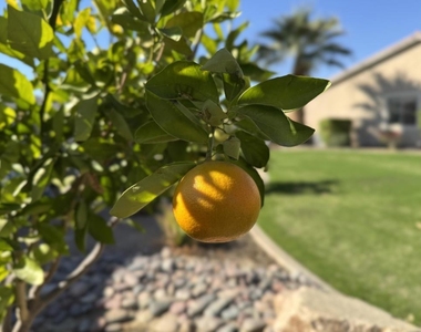 80372 Camino San Lucas - Photo Thumbnail 88